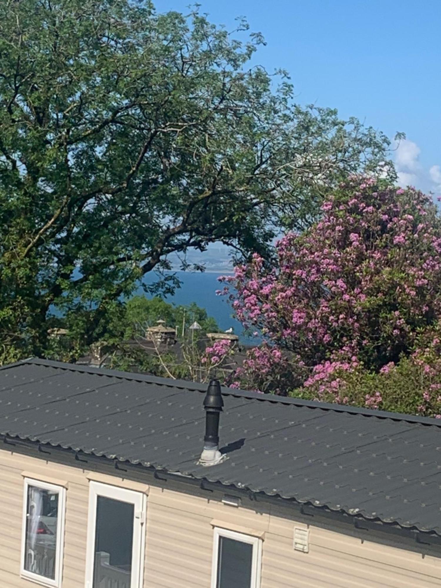 Appartamento Ocean View At Glade Bucks Mills Esterno foto